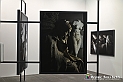 VBS_8483 - Artissima 2022 - Ventinovesima Edizione